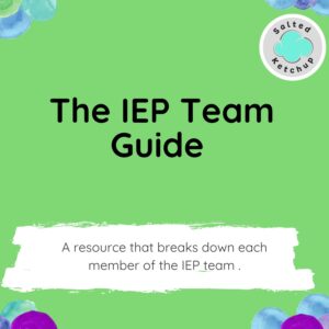 THE IEP TEAM GUIDE SaltedKetchup www.saltedketchup.com